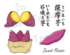 薩摩芋と石焼き芋のセット　ストックイラスト　PIXTA