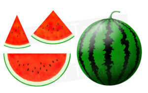 スイカ　すいか　西瓜　イラスト　ストックイラスト　Watermelons - PIXTA / Adobe Stock / イメージマート / iStock / Shutterstock