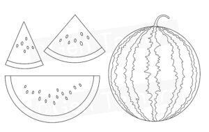 Watermelon illustration iStock